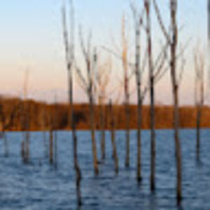 Meet your Posher, Ella